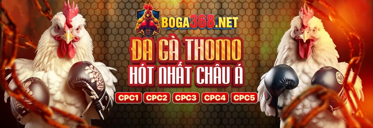 Chương trình hoàn trả tiền cược